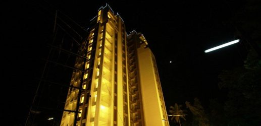 Asset Picasso Palette