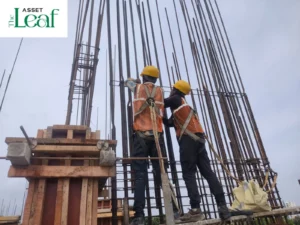 Construction Status - Asset Leaf - August 26