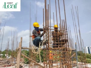 Construction Status - Asset Leaf - August 26