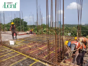 Construction Status - Asset Leaf - August 26