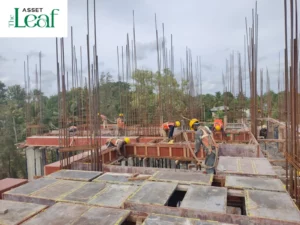 Construction Status - Asset Leaf - August 26