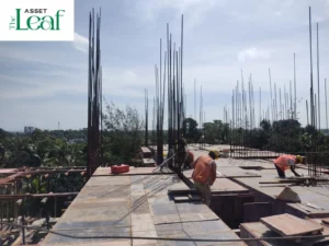 Construction Status - Asset Leaf - August 26