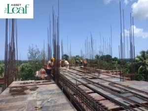 Construction Status - Asset Leaf - August 26