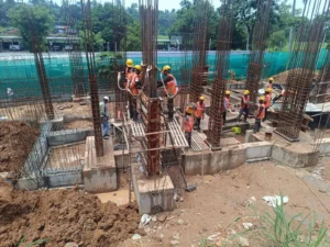 Construction Status - Asset Butterflies - August 26 (1)