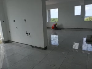 Construction Status - Asset Magnum - August 26