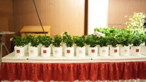 Asset Around The Tree - Stone Laying Ceremony Marks the Launch of the 125th Project by Asset Homes