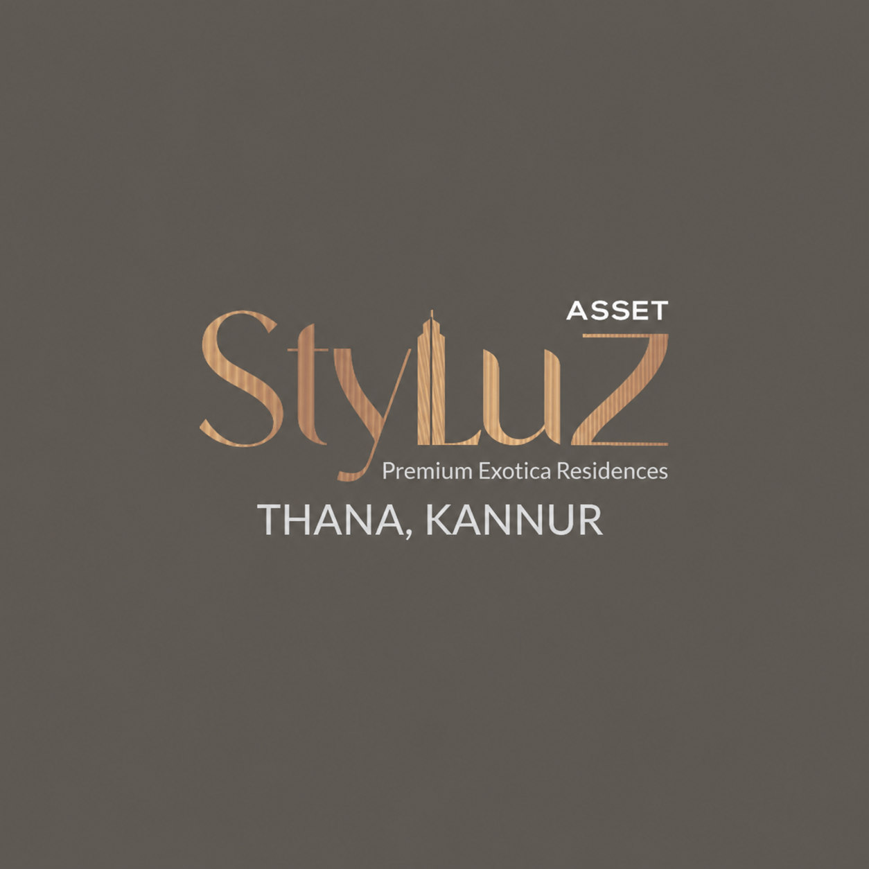 Asset Styluz